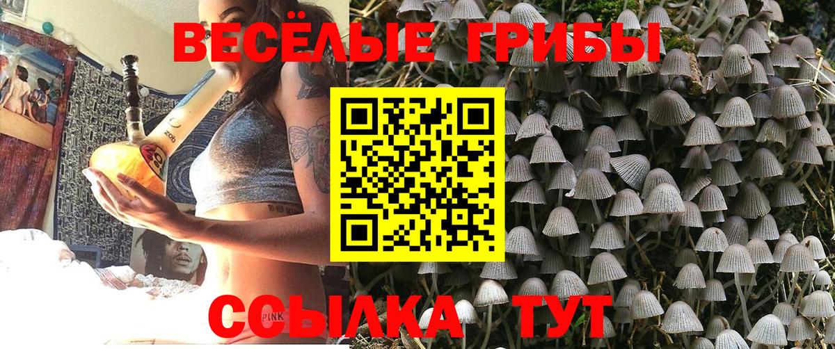 Псилоцибиновые грибы Psilocybine cubensis  магазин продажи   Железноводск  Вход с VPN  Галлюциногенные грибы GOLDEN TEACHER 