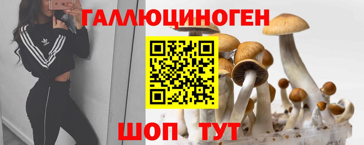 Галлюциногенные грибы Psilocybine cubensis Железноводск